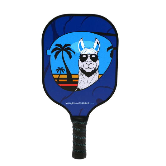 Made in the Shade Blue Pickleball Paddles for Beginners